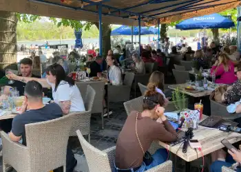 Galéria kép 8